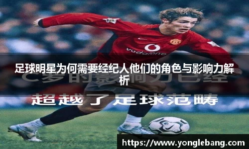 星空·综合体育官方网站